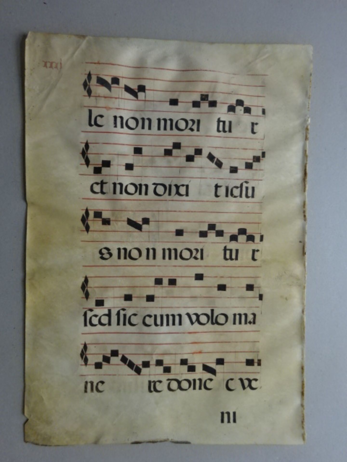 Antiphonar - 10 Choralblätter - Bild 6 aus 8