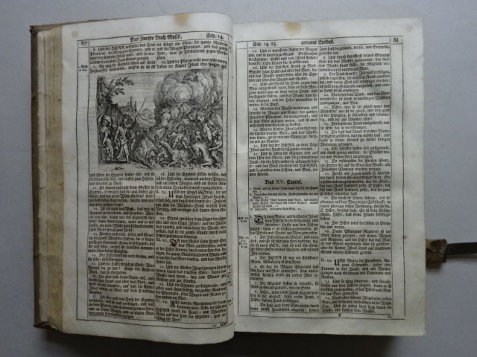 Catholische Mayntzische Bibel, 1740 - Bild 5 aus 10