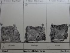Heindl - Daktyloskopie