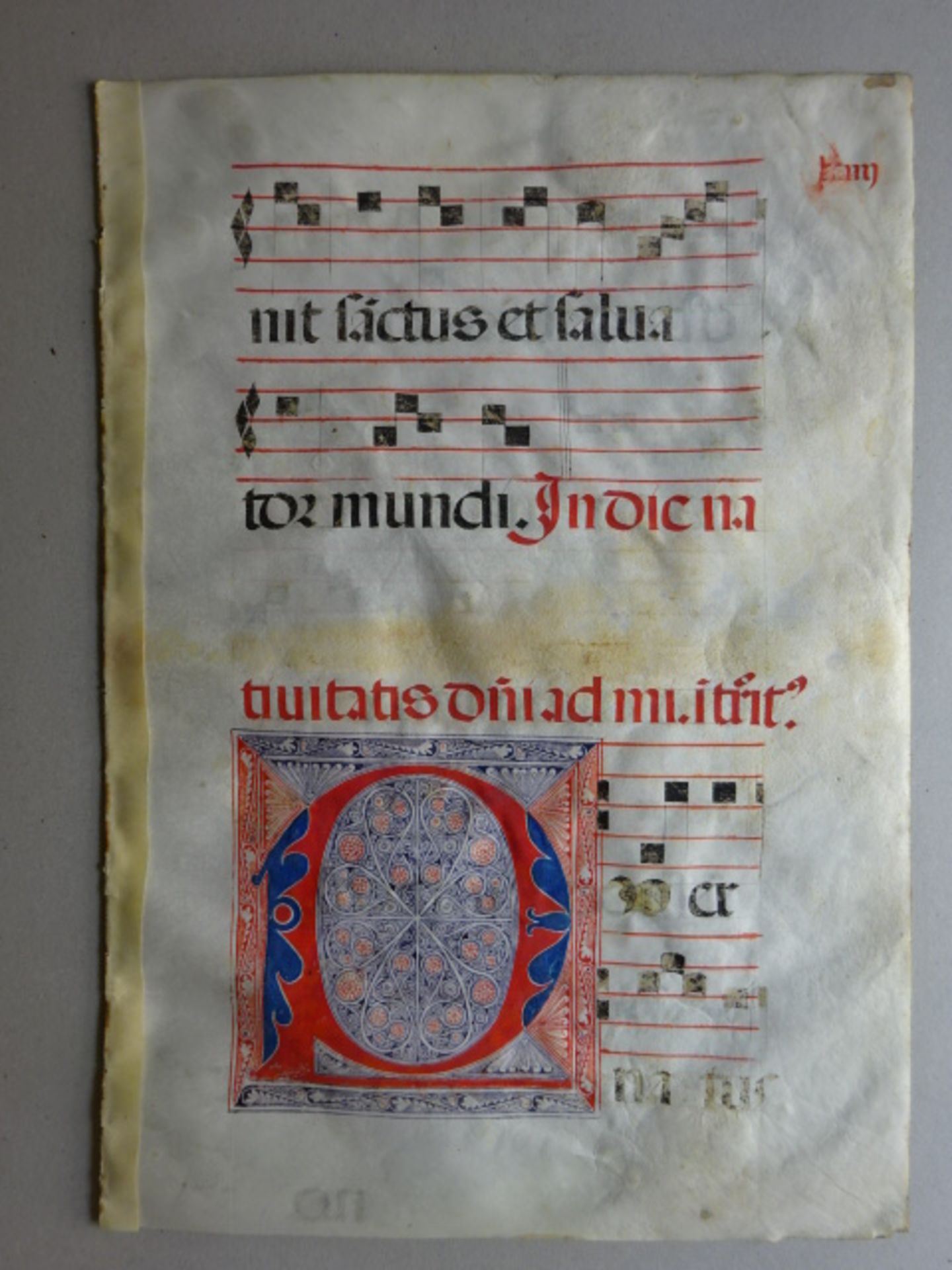 Antiphonar - Choralblatt mit Initiale - Image 2 of 3