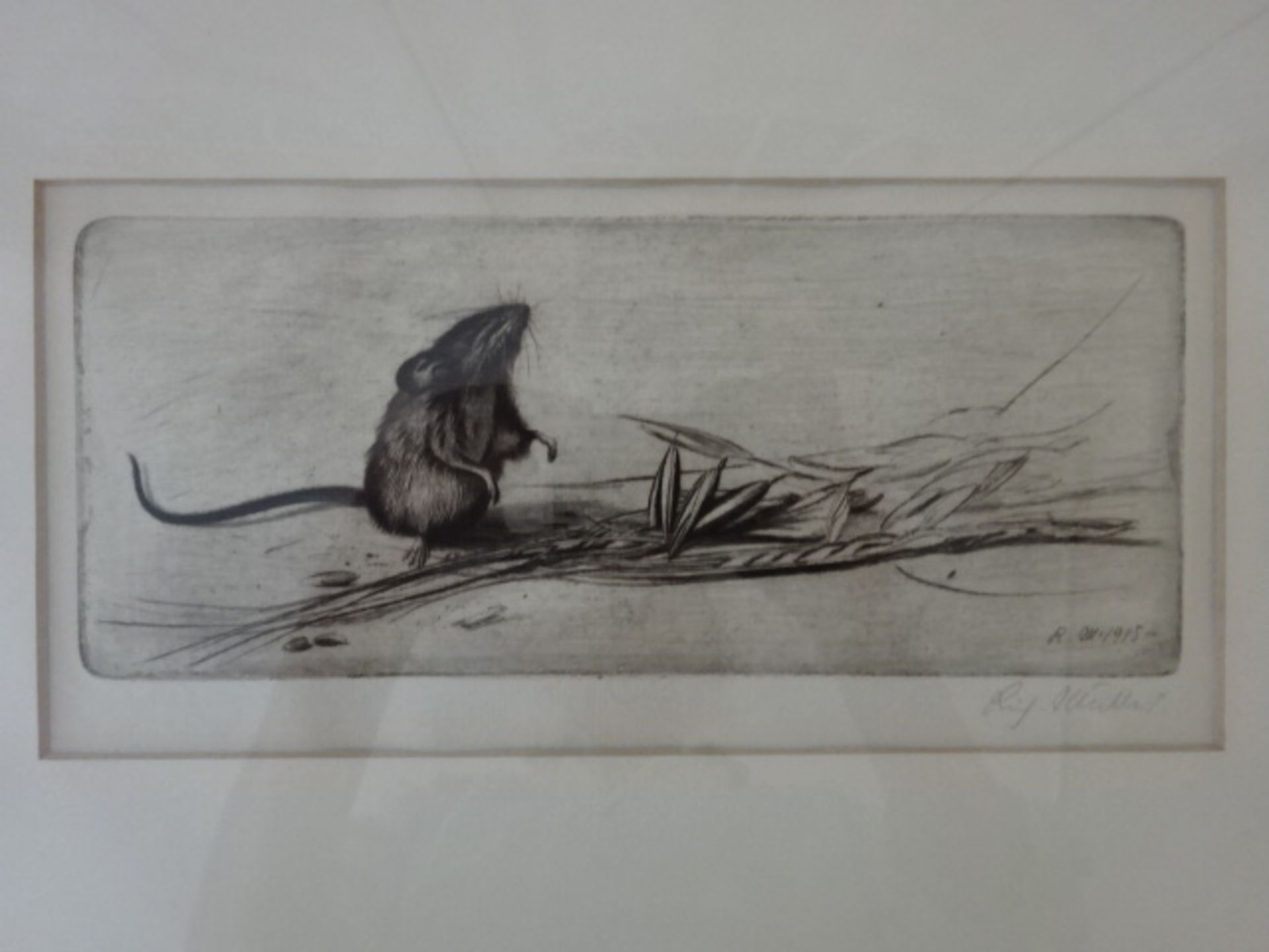 Müller - Maus mit Hafer - Bild 2 aus 4
