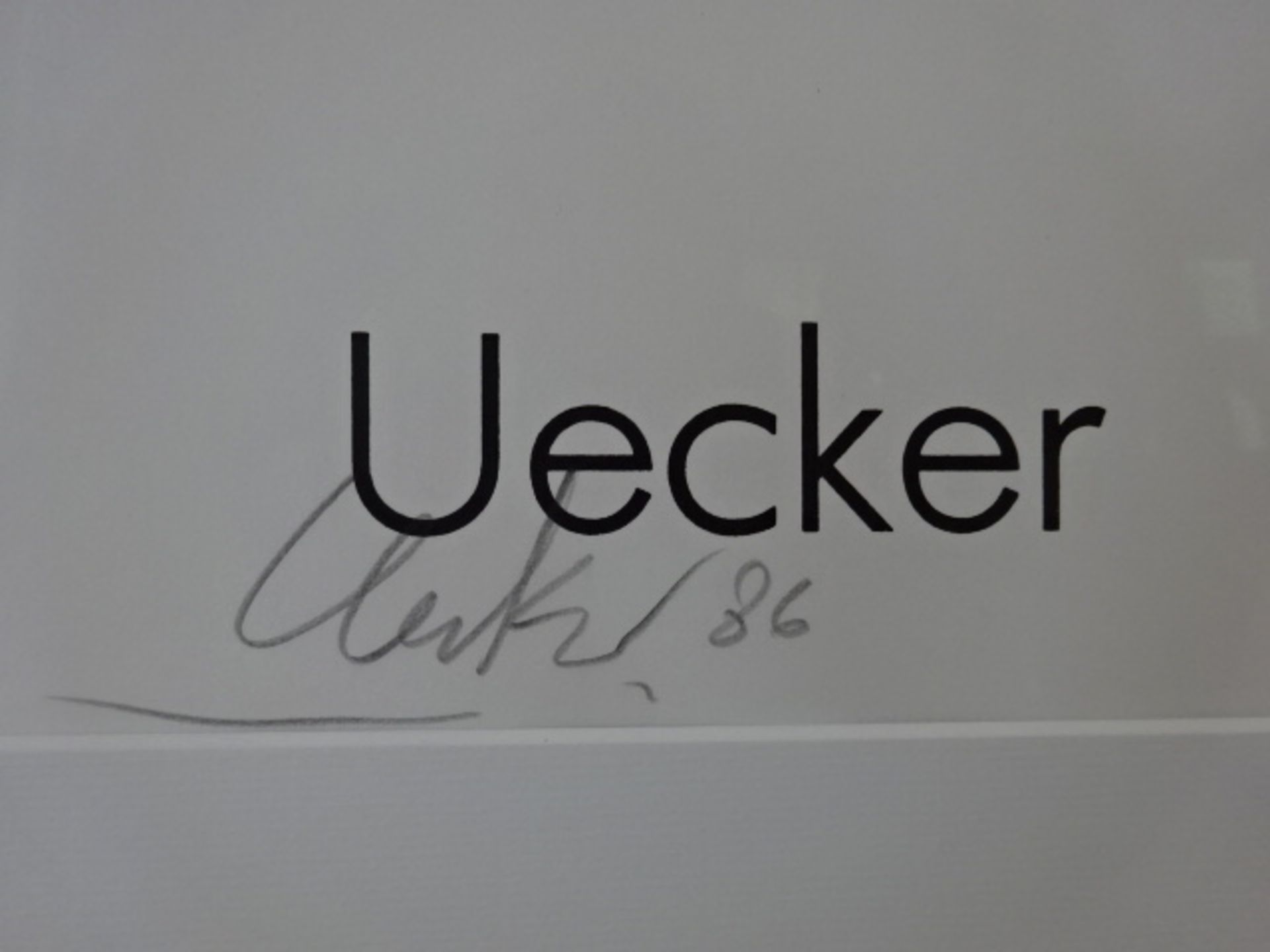 Uecker - Wüstenlicht - Bild 3 aus 3