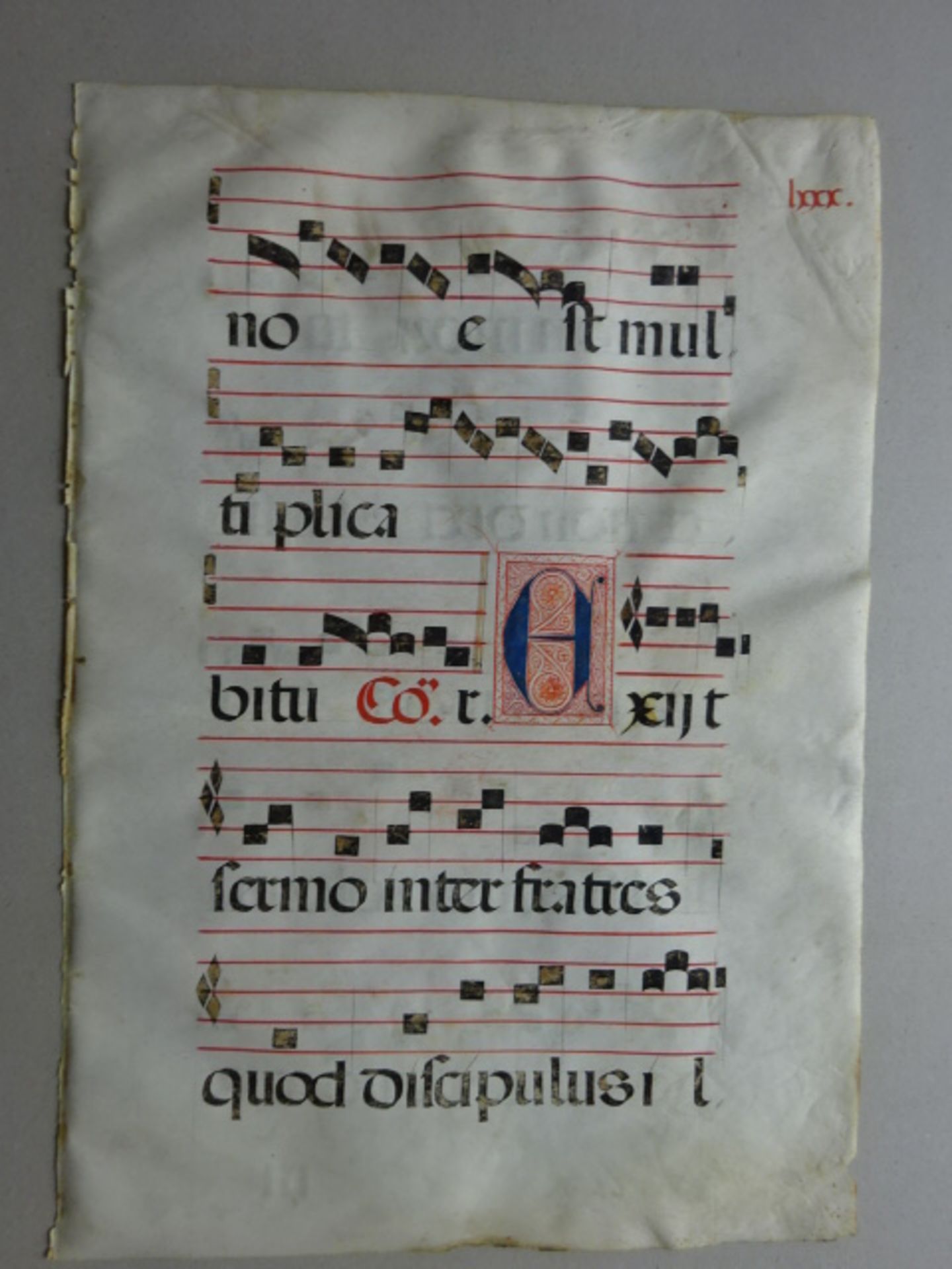 Antiphonar - 10 Choralblätter - Bild 5 aus 8