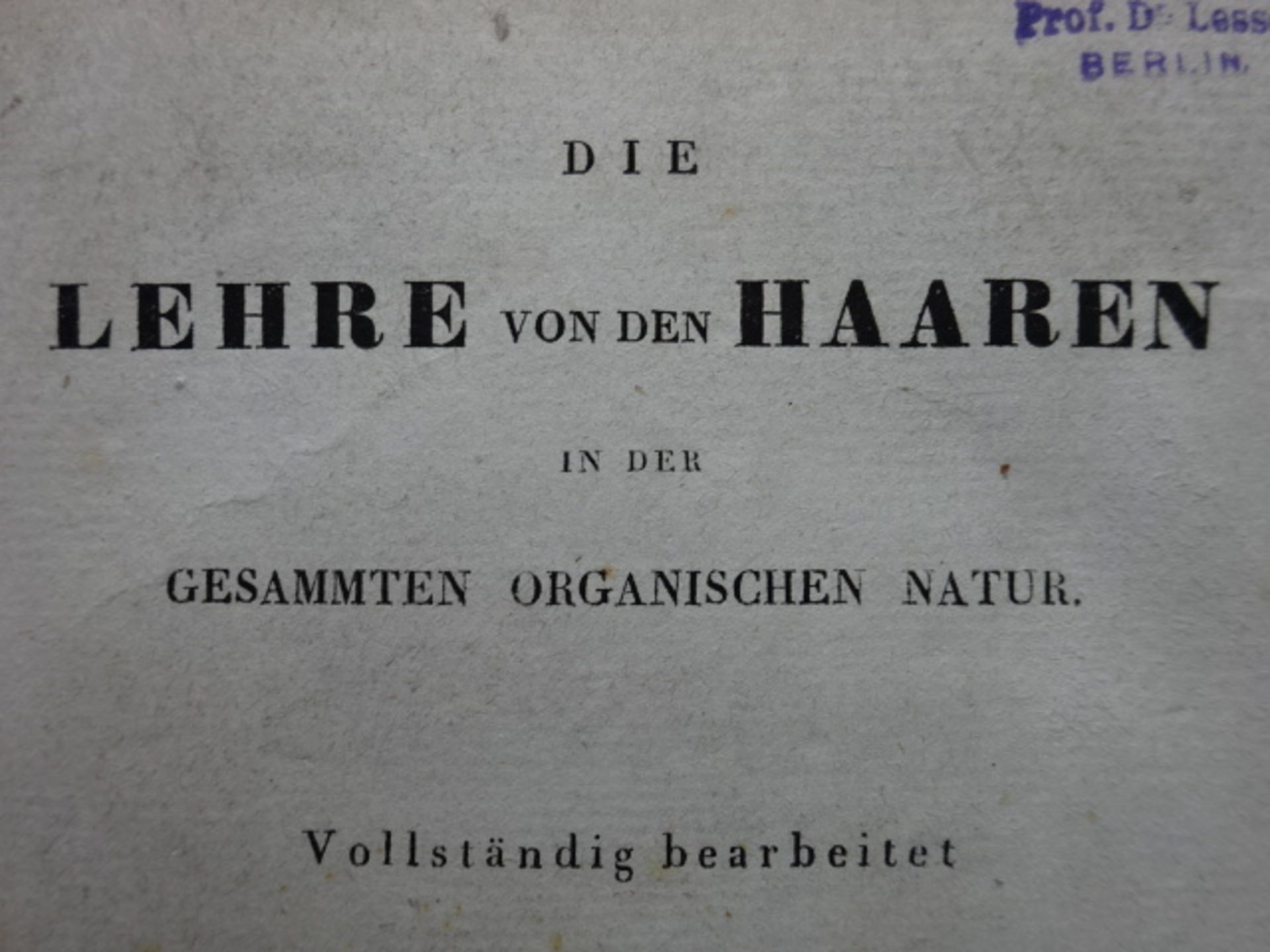 Eble - Lehre von den Haaren