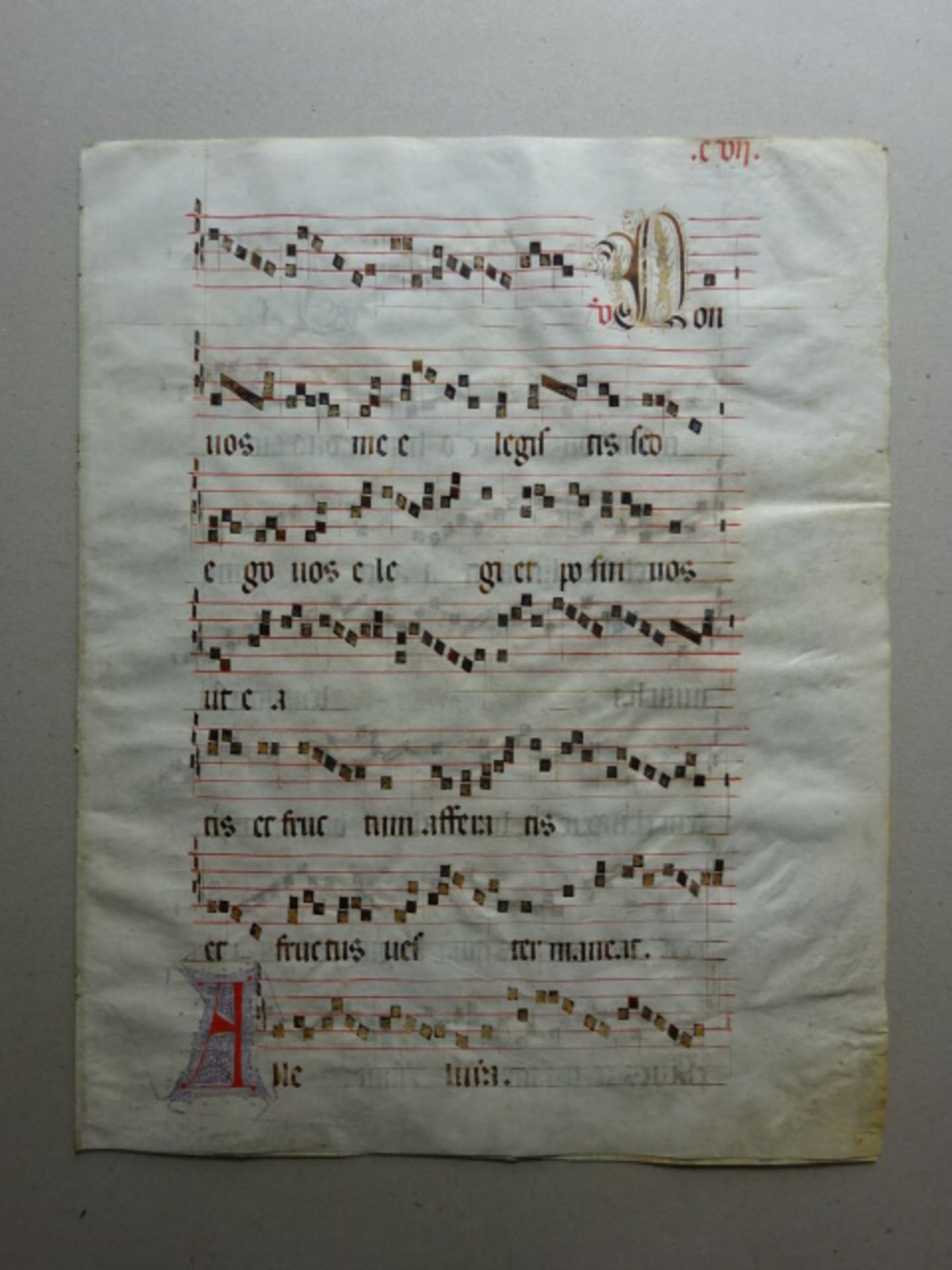 Antiphonar - 6 Choralblätter - Bild 4 aus 7