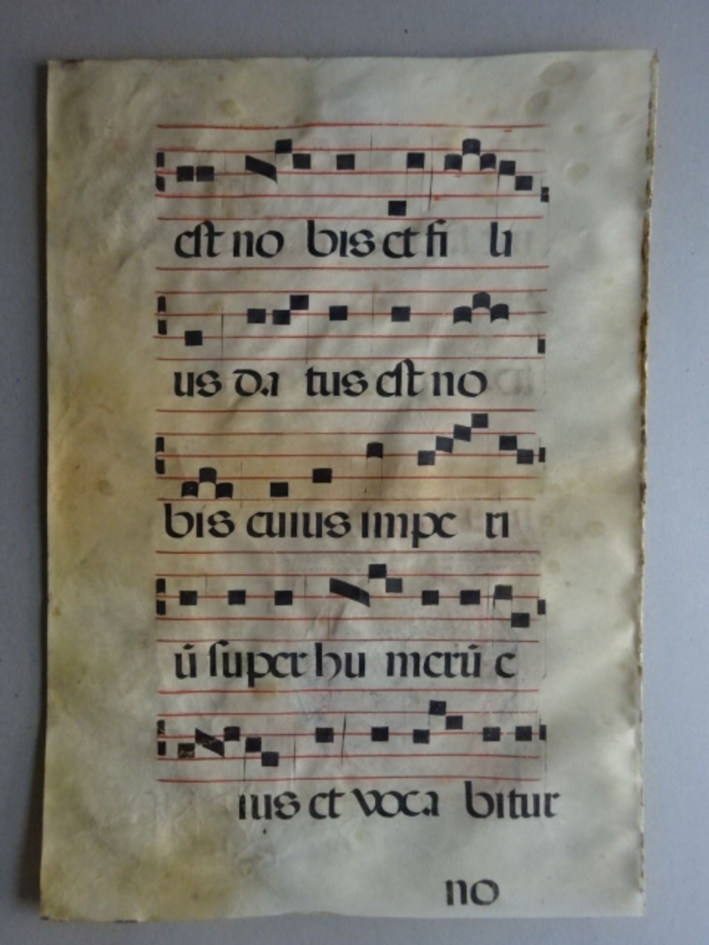 Antiphonar - Choralblatt mit Initiale - Image 3 of 3