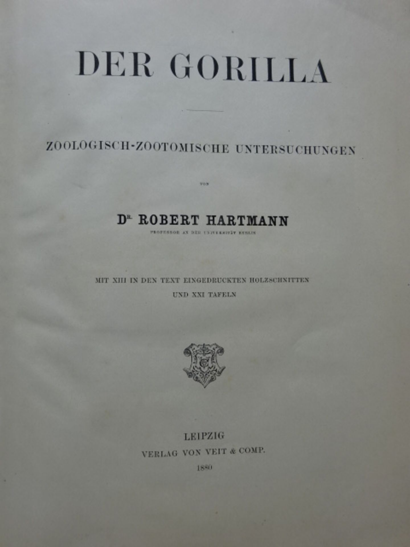 Hartmann - Gorilla - Bild 2 aus 6