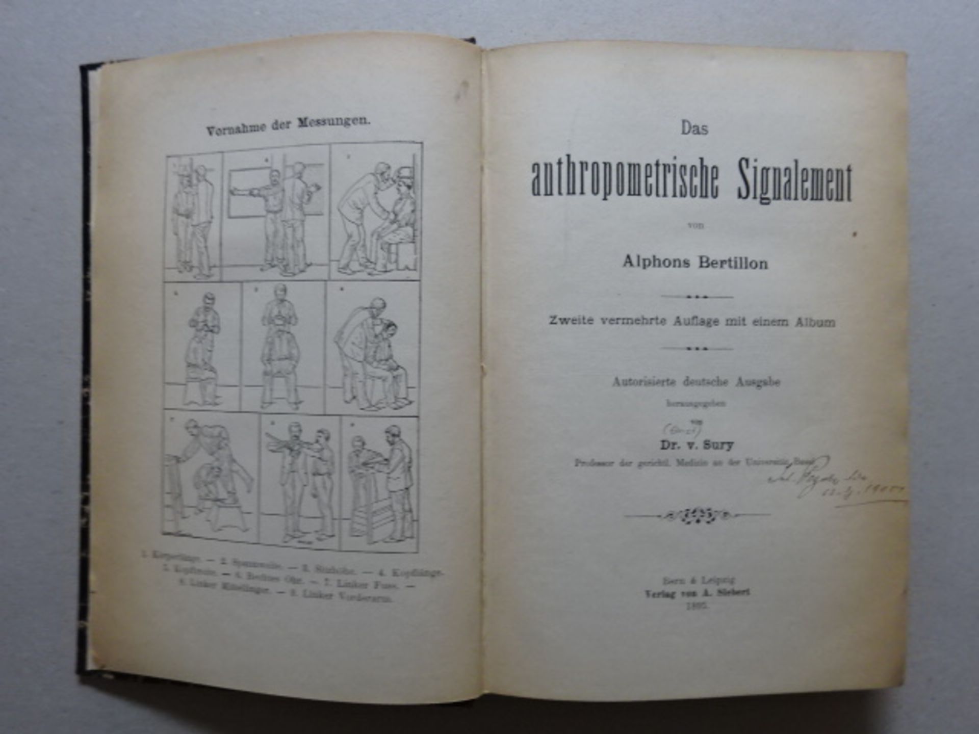 Bertillon - Anthropometrische Signal - Bild 7 aus 8