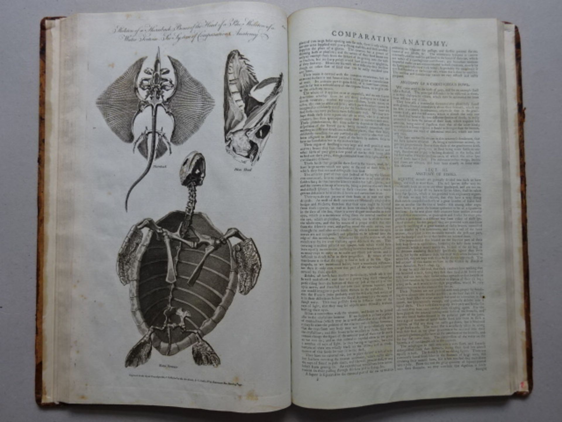 Royal Encyclopaedia, 1790 - Bild 3 aus 5