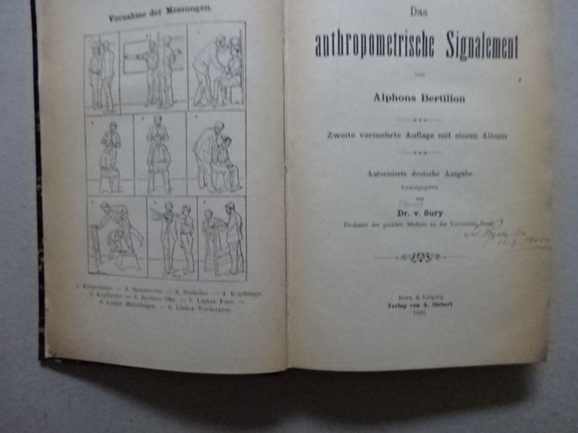 Bertillon - Anthropometrische Signal - Bild 8 aus 8