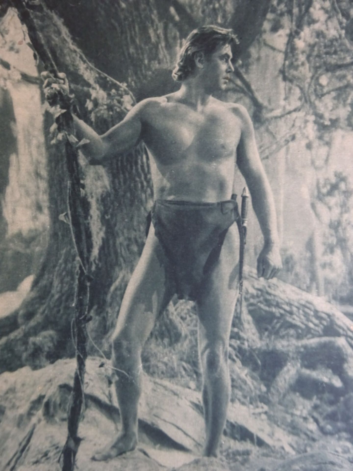 Weissmüller - Le Trésor de Tarzan