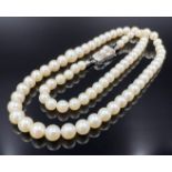Pearl necklace with 585 gold clasp.