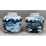 Two large ginger pots. China. 19th century.