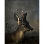 Adolf ROHLFS (XIX). Six-headed buck.