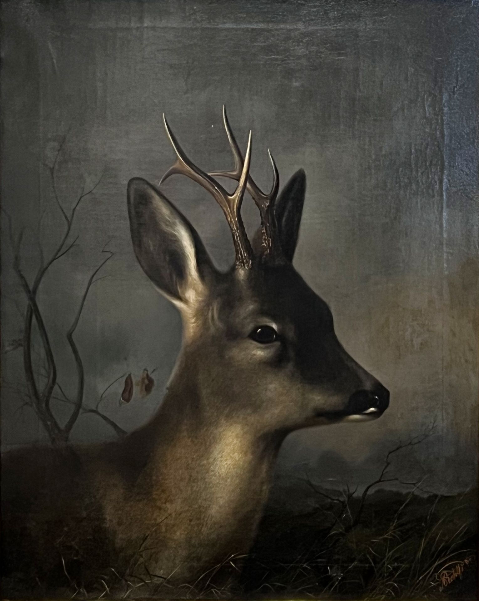 Adolf ROHLFS (XIX). Six-headed buck.