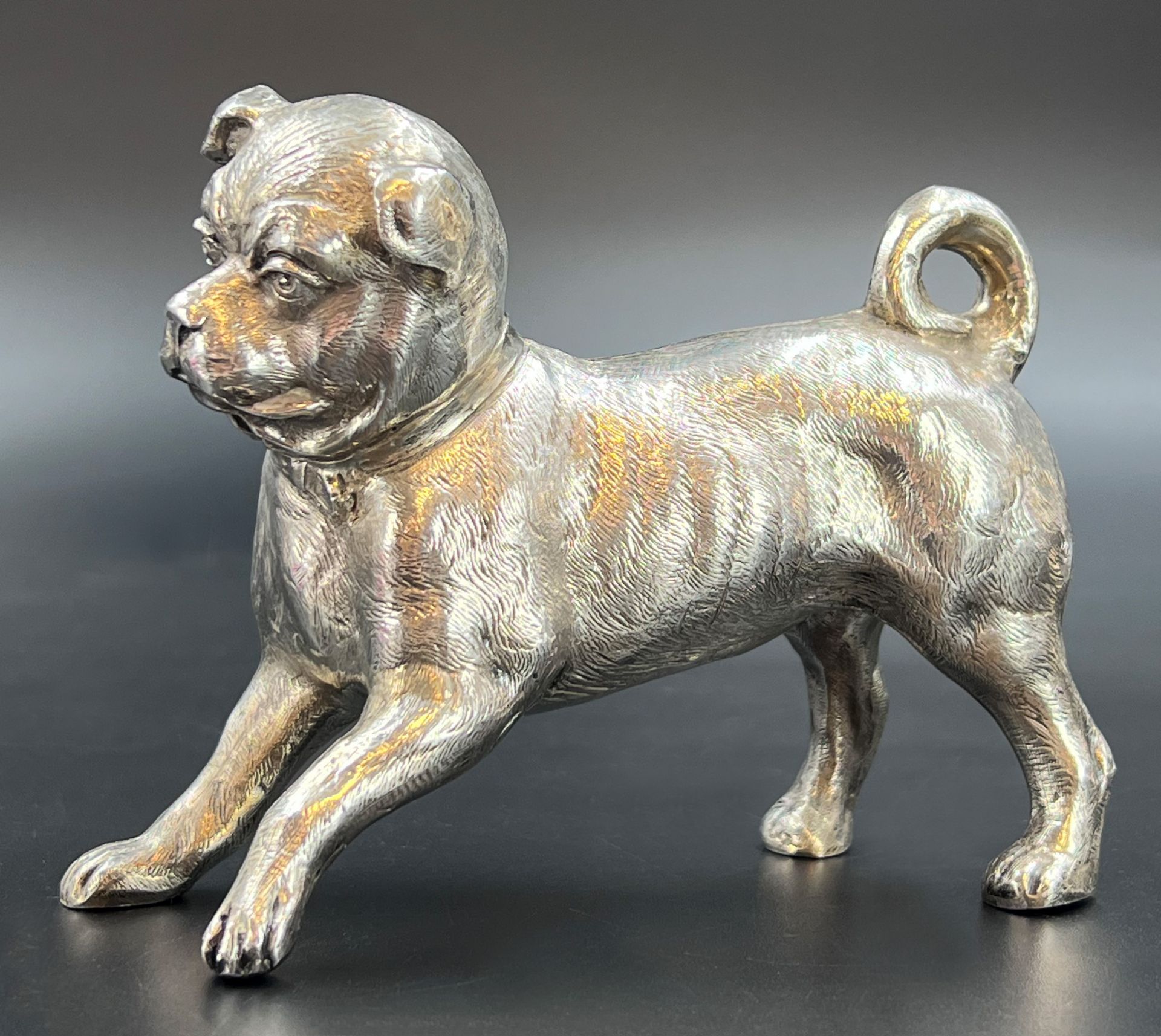 Fine silver bulldog. 925 Sterling silver. 20th century.