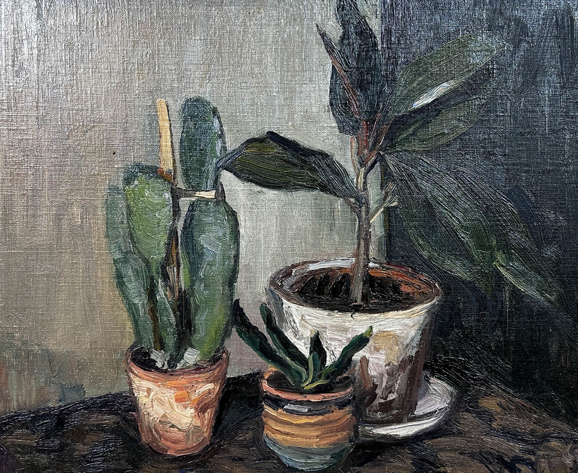 Johannes HÄNSCH (1875 - 1945). Still life with plants.