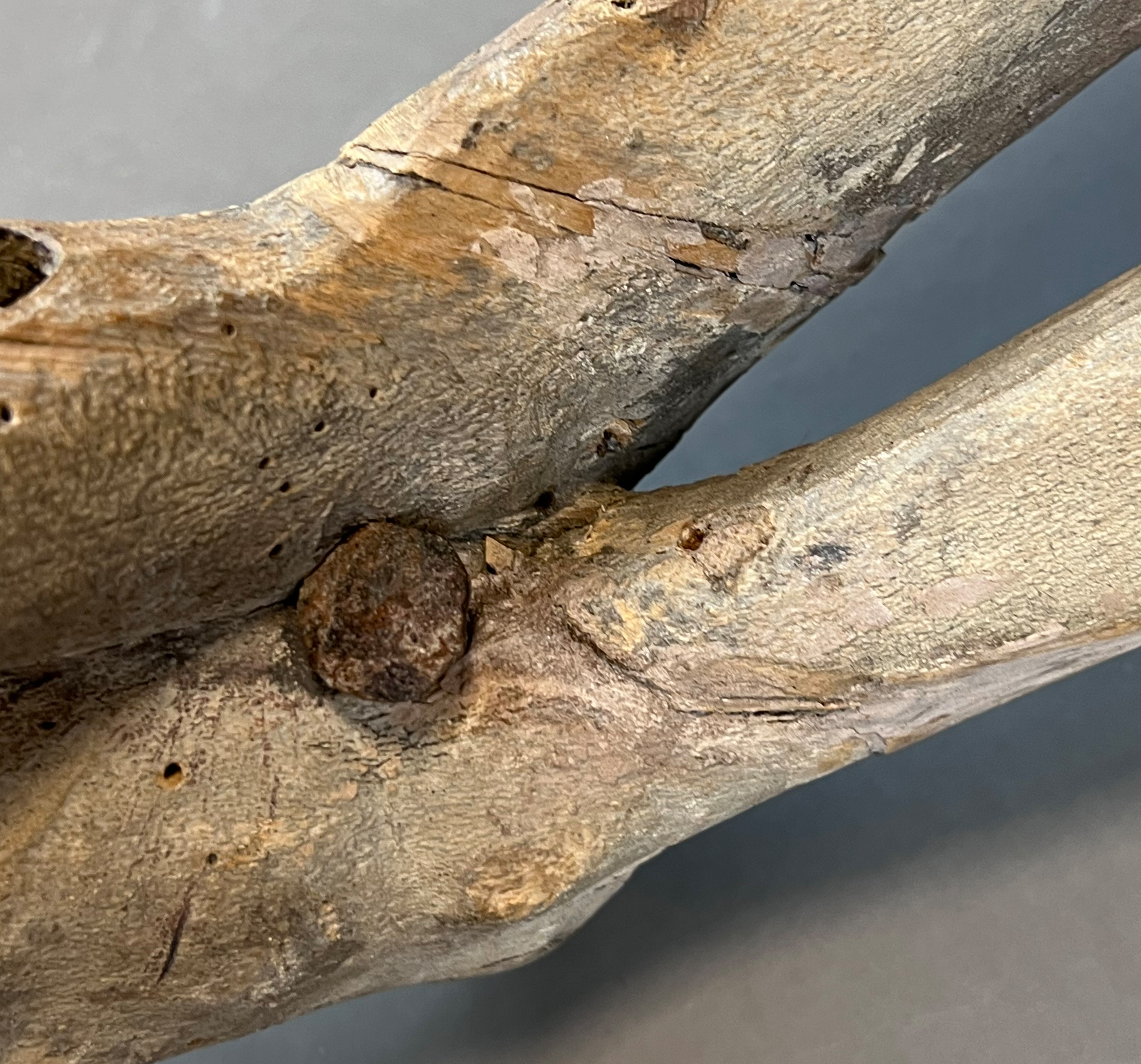 Wooden figure. Crucified Christ. 17th century. South Germany. - Image 10 of 19