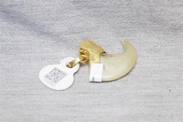 Anhänger Tigerkralle