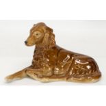 Irish Setter