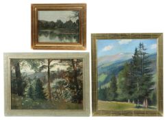 Verschiedene Künstler des 19./ 20.