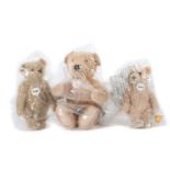 3 Teddybären Steiff, 1990/2000er