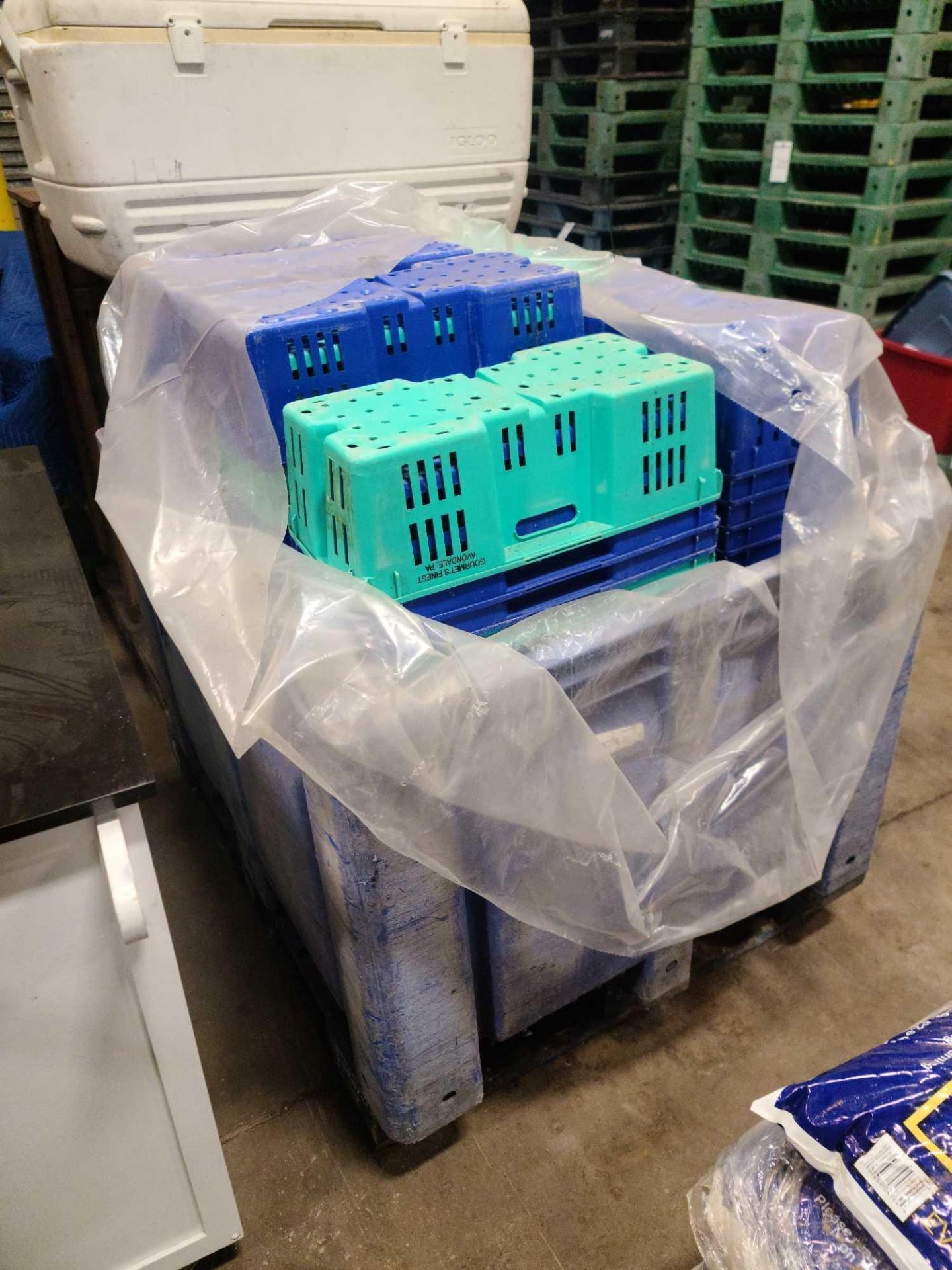 Tote of Plastic Produce Bins - Image 2 of 3