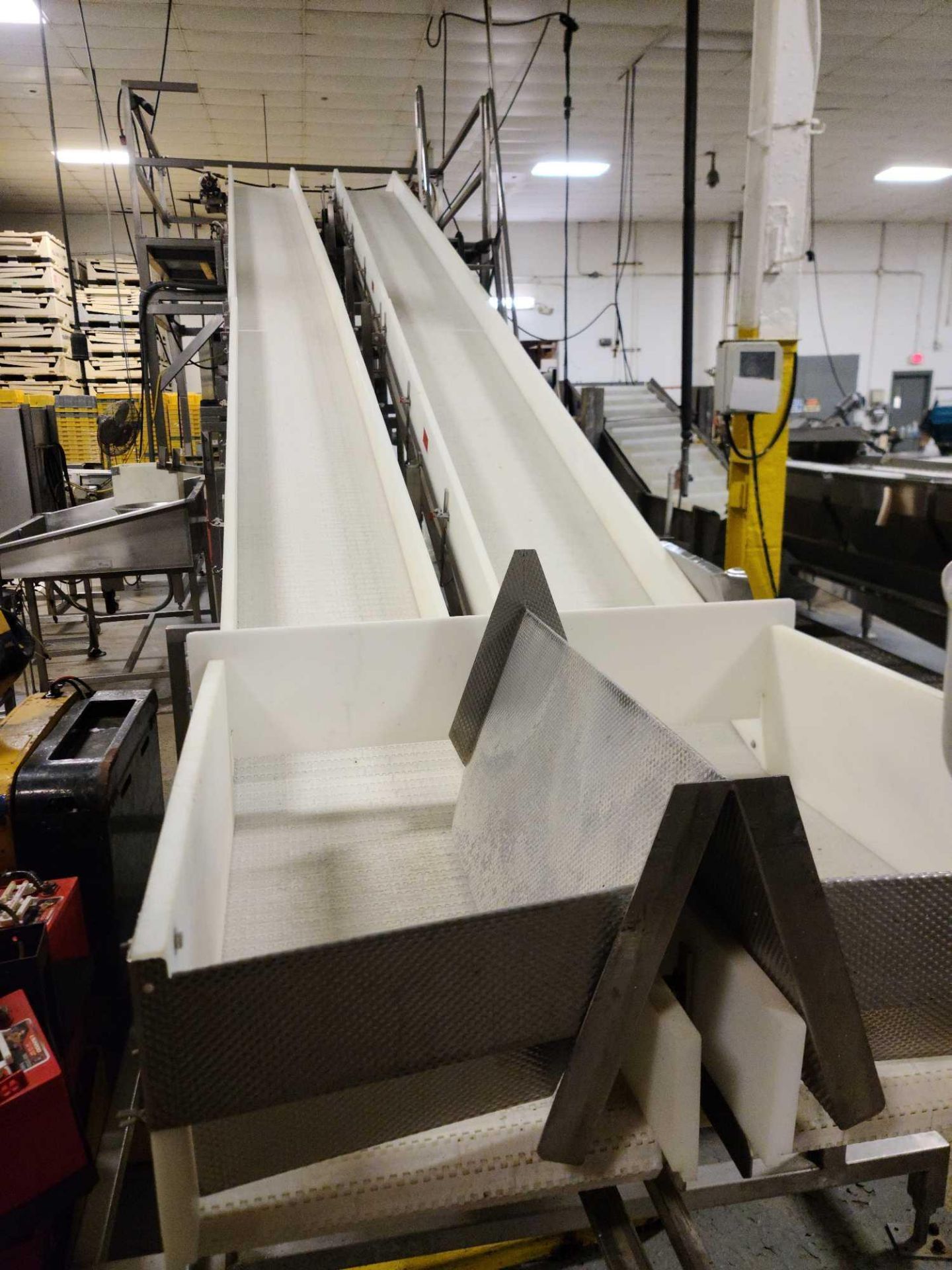 Weigh Right 1C-2 Incline Conveyor - Image 4 of 6