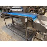 Sanitary Blue Belt Conveyor