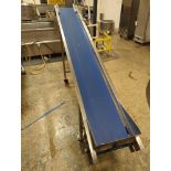 Blue Belt Incline Conveyor