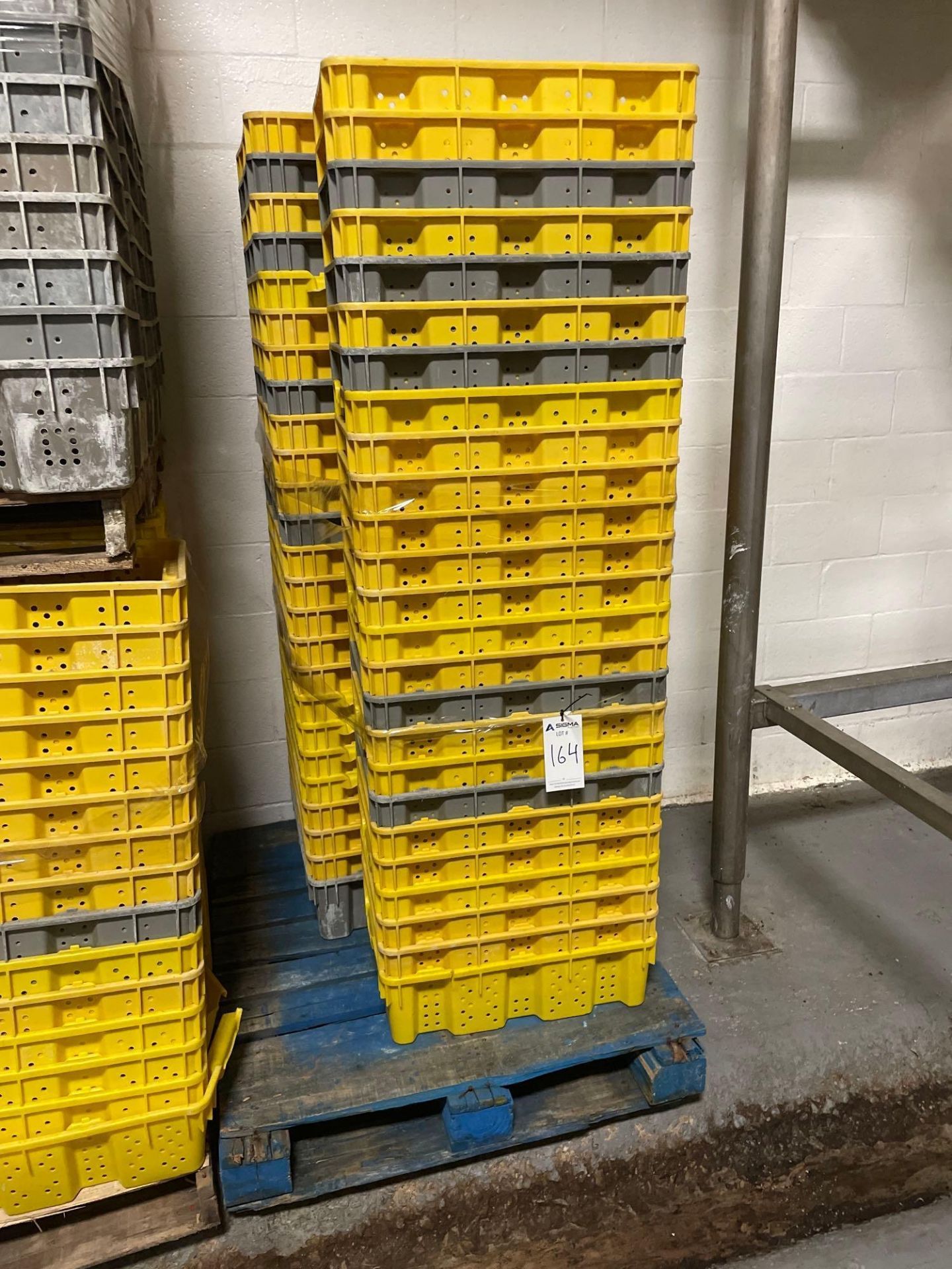 Lot of Plastic Totes