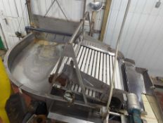 Stainless Steel Holding Tank With Infeed Conveyor