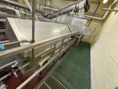 Stainless Steel Grinder with Conveyor