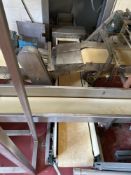 Stainless Steel Metal Detector with Conveyor