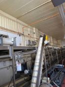 45' L by 5' W Master Reject Belt Conveyor System