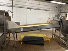 10' Belt Conveyor
