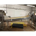 10' Belt Conveyor