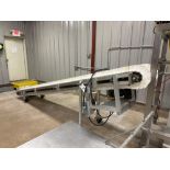 15' Tabletop Belt Incline Conveyor