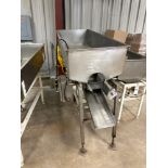 60" x 24" Stainless Steel Vibratory Conveyor