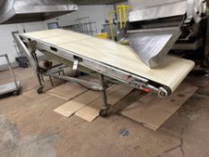 Incline Conveyer