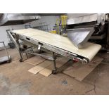 Incline Conveyer