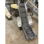 Incline Conveyer with Sorting Table