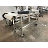 Incline Table Top Conveyer