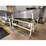 Meyer 1009 Stainless Steel 60" x 24" Vibratory Conveyor