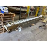 Cleated Conveyer