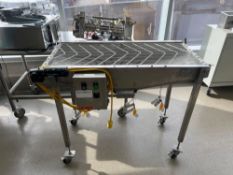 Woody Associates Stainless Steel Confectionary Stringer