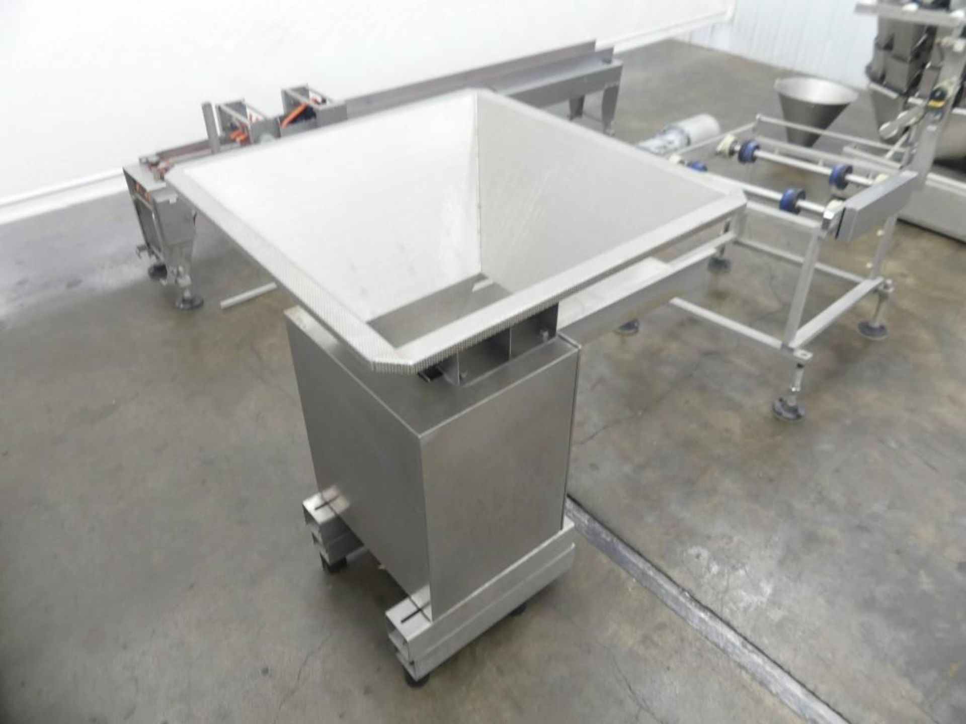Massman HFFS-IM1000 Flexible Pouch Packaging System - Image 66 of 127