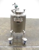 Lee 75 Gallon Stainless Steel Kettle with Agitation