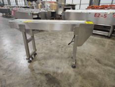 Automatic Feeding Conveyor