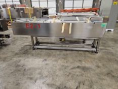 Automatic Feeding Conveyor